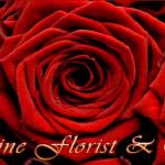 Jasmine Florist & Craft